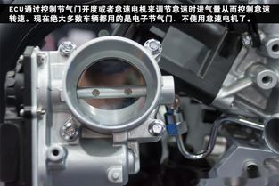 汽车油门转速多少正常