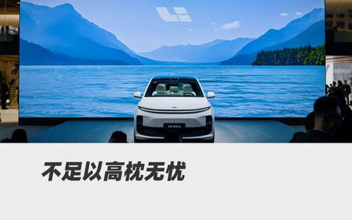 理想汽车掉了多少粉尘